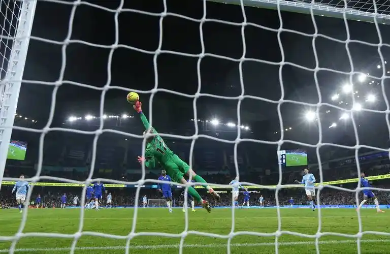 雨燕免费直播在线观看